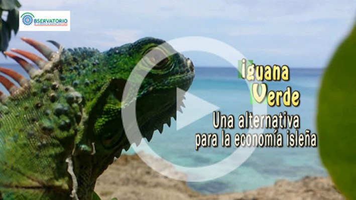 IGUANA VERDE